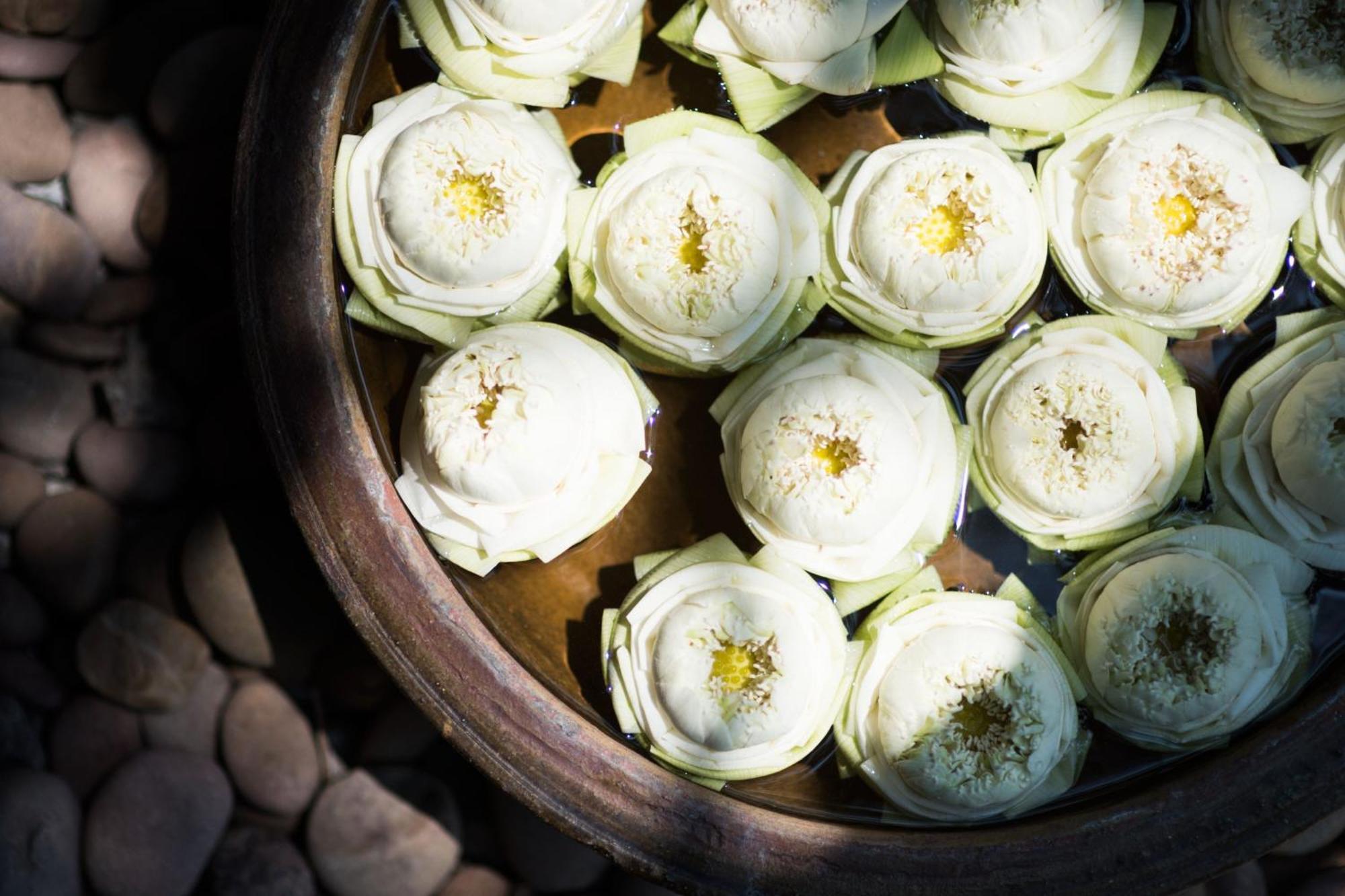 Sheraton Grande Sukhumvit, A Luxury Collection Hotel, Bangkok Zewnętrze zdjęcie White lotus flowers